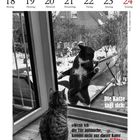 Kalender, Januar: Montag 18 - Sonntag 24. Innen sitzt eine Katze vorm Fenster, draußen eine andere im Schnee.
