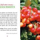 "Süß oder sauer – KIRSCHSORTEN. Kirschen gehören zum Steinobst. Süßkirschen (Prunus avium)... Büttners Rote Knorpelkirsche." 
Links Text über Kirschen, rechts Kirschen am Baum.