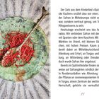 Text spricht über Safran in Europa, insbesondere in Deutschland. Links Teller mit Safran und verziertem Löffel.