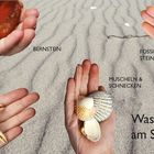 Texte: Bernstein, Fossilien & Steine, Seesterne, Muscheln & Schnecken, "Was finden wir am Strand?" Hände halten Strandfunde.