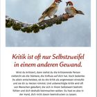 „Kritik ist oft nur Selbstzweifel in einem anderen Gewand.“ Zwei Spatzen sitzen auf einem schneebedeckten Ast.