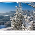 Text: "Blick auf die verschneite Landschaft an den Bärensteinen. Januar", Kalendariumsdaten unten. Winterlandschaft mit schneebedeckten Bäumen und Hügeln.