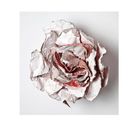 Oben links "108", oben rechts "4. Kapitel". Ein zerknülltes Papier in Form einer Rose, teils rot bemalt.