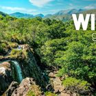 Text: "WILD guide". Eine üppige, grüne Landschaft mit einem Wasserfall und Bergen im Hintergrund.