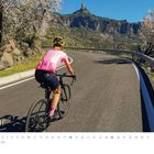 Januar-Kalender: Ein Radfahrer in pinkem Trikot fährt eine kurvige Bergstraße entlang, umgeben von blühenden Bäumen.