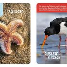 "Seestern: Kein Kopf, keine Augen; 5 Arme. Austernfischer: Roter Schnabel, frisst Muscheln. Eier direkt am Boden."