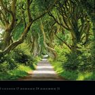 "The Dark Hedges", Kalender für Januar 2027, Bäume bilden einen Tunnel über einem Weg.