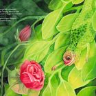 Ein grünes Chamäleon kriecht auf Blättern; daneben blüht eine rote Rose.