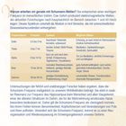 "Warum arbeiten wir gerade mit Schumann-Wellen?" Tabelle: Frequenzbänder (Delta, Theta, Alpha, Beta, Gamma) und ihre Effekte.