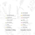 12 Sammeln & Verwenden, 20 Frühjahrskräuter, 88 Grüne Heilmittel, 118 Sommerküche. Skizzenhafte Blumen im Hintergrund.