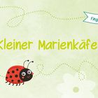 „Der fliegende Schmetterling“ und „Bewegungslied“. Illustration mit buntem Schmetterling und gepunkteten Linien.