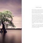 Der Text trägt die Überschrift "Ancient Forests". Links ist ein einzelner Baum im Wasser, in ruhiger Umgebung.