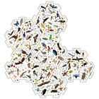 Illustration mehrere zusammenpassende, sechseckige Platten mit einer Vielzahl von bunten Vögeln und kleinen Tieren.