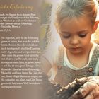 Texte über Weisheit und Erfahrung aus Jesus Sirach 25,3-6. Ein älterer Mann und ein Kind bei der Gartenarbeit.