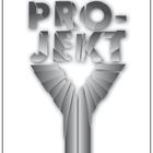 Text: "JANA REISCH", "PROJEKT Y", "ROMAN", "BVK impulse".  
Silberner 3D-Titel in der Mitte.