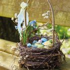 Ein Weidenkorb auf einer Bank, gefüllt mit bunten Ostereiern, Weidenkätzchen und Frühlingsblumen, im Hintergrund unscharfe Natur.