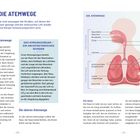Texte:
- DIE ATEMWEGE
- Aufgabe der Atemwege
- Das Atmungsorgan – Wunder
- Die oberen Atemwege
- Die Nase

Illustration eines Atemsystems mit beschrifteten Teilen: Nasenhöhle, Kehlkopf, Lunge.