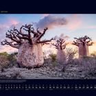 "01 Januar" oben links; unten Monatskalender. Drei große, blattlose Baobab-Bäume bei Sonnenuntergang in trockener Landschaft.