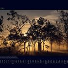 03 März. Kalenderblatt mit Bäumen in Nebellandschaft. Mystische Stimmung bei Sonnenaufgang im Kakadu-Nationalpark.