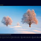 01 Januar; Winterlandschaft mit verschneiten Bäumen auf sanften Hügeln im Sonnenuntergang.