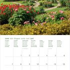Kalender für Juni; Wochentage auf mehreren Sprachen. Bild eines Gartens mit blühenden Blumen und Wegen.