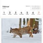 Kalenderseite: Februar 2027, KW 5, Montag bis Sonntag. Ein Luchs im Schnee, Wald im Hintergrund.