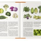 Linke Seite: "Weißkohl", "Grünkohl", "Brokkoli", "Wirsing", "Blumenkohl", "Rotkohl".  
Rechte Seite: "Palmkohl", "Spitzkohl", "Kohlrabi", "Rosenkohl".