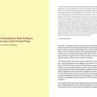 Steven Sweatpants: Back to Basics and the Year of the Protest Photo. December 24, 2020 | in Magazine.