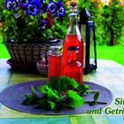Text „Sirupe und Getränke“ in grüner Schrift. Drei Flaschen mit roter Flüssigkeit, Kräuter, Topf mit Blumen auf Tischdecke.
