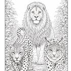 Drei große Katzen: ein Löwe, ein Leopard und ein Luchs, schreiten durch einen Dschungelpfad. Illustration in Schwarz-Weiß.