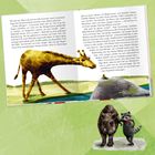 Text: Eine Giraffe, "Hallo", Mathilda. Giraffen trinken. Illustration: Giraffe an Wasserstelle, Wildschwein und Waschbär.