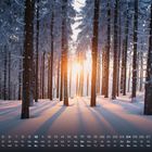 Kalender, zeigt Januar-Daten unten. Verschneiter Wald mit Sonnenstrahlen zwischen Bäumen.