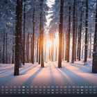 Kalender mit Datum unter schneebedeckten Bäumen im Sonnenuntergang, lange Schatten auf dem Schnee.