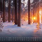 Kalender mit Januar-Tagen. Winterwald, Bäume im Schnee, Sonnenstrahlen brechen durch die Bäume.