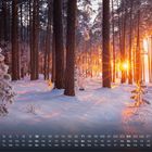 Text: Zahlen von 1 bis 31 unten; Tage Fr bis So. Winterwald mit Sonnenstrahlen durch schneebedeckte Bäume.