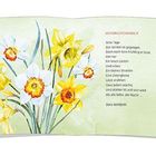 OSTERGLOCKENZEIT. Text von Doris Wolfarth. Illustration von gelben und weißen Narzissen auf grünlichem Hintergrund.