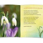 Text: „Im Garten blühn schon ein Weilchen Schneeglöckchen, Krokus und Veilchen.“ Links ein Foto mit Schneeglöckchen.