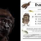 Text links: "Westlicher Flachlandgorilla... verschmitztem Blick." Rechts: Inhaltsverzeichnis mit Kapitelnummern und Tierabbildungen.