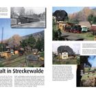 Erster Halt in Streckewalde. Schmalspurbahn im Modell. Ein Bahngelände mit Zügen und Gebäuden in einer Landschaft.