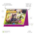 "Samtpfötchen 2027", Ringbindung, Glanz- und Präge-Effekt. Katzenkalender mit Kätzchen in einem Korb voller Blumen.