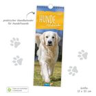 Praktischer Wandkalender für Hundefreunde, Hunde Notizkalender 2027. Golden Retriever auf grünem Gras. Größe: 12 x 35 cm.