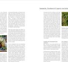 Einleitung: Pflanzenheilkunde begleitet Menschen seit Jahrtausenden. Titel: Sammeln, Trocknen & Lagern von Kräutern. Text über Heilpflanzen, Sammlungstipps und Qualität. Bild: Hände halten Blumenstrauß.