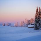 Schnee bedeckte Landschaft bei Sonnenuntergang, rosa Himmel. Verschneite Bäume und eine Hütte am Rand eines Waldes.