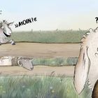 Ein Zwergschaf blökt "Moin!" zu anderen Schafen hinter einem Holzzaun. Ein Schaf schaut überrascht, zwei schauen durch den Zaun.