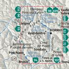 Kartenabbildung der Alpenregion mit Orten wie Livigno, Bormio und Tovo di S. Agata, umgeben von Straßenangaben.