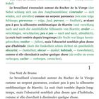 Chapitre 1. Une Nuit de Brume. Texte beschreibt Nebel um Rocher de la Vierge in Biarritz. Marc Dupont steht am Strand.
