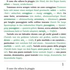 „Il cane che odiava la pioggia“ ist der Titel. Es folgen Absätze auf Italienisch mit deutschen Übersetzungen einiger Wörter.