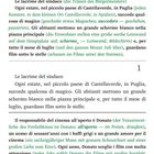 "Le lacrime del sindaco" (die Tränen des Bürgermeisters), Text über Freiluftkino in Castellaverde. Kapitel 1.