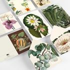Verschiedene botanische Illustrationen: Blumen, Blätter und Früchte in detaillierten, farbenfrohen Zeichnungen.