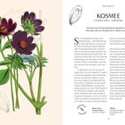 Links: Illustration von Kosmeen mit dunklen Blüten. Rechts: Text über Kosmeen, ihre Pflege, Ästhetik und Duft.